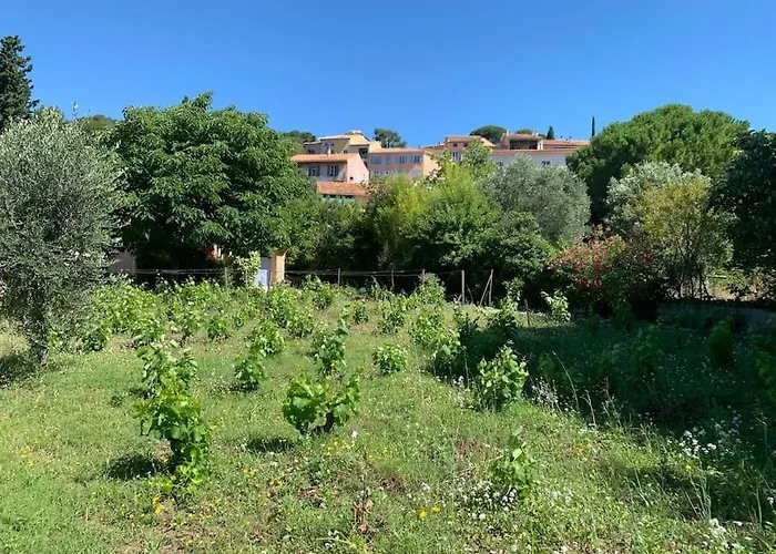 Maison Cadiere D'Azur