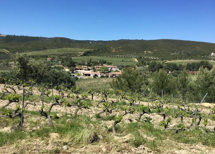 La Ferme Des Chevres
